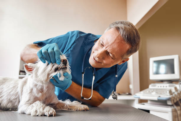 Best After-Hours Emergency Dentist in Owingsville, KY